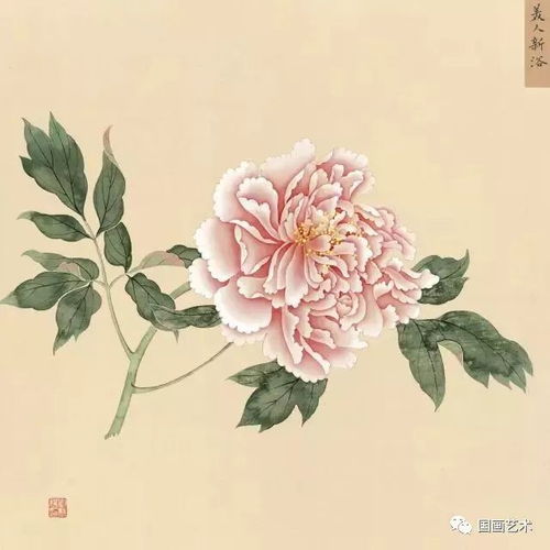 丹青妙手寫天香 故宮館藏蔣廷錫《牡丹十六種圖冊》中的芍藥風姿